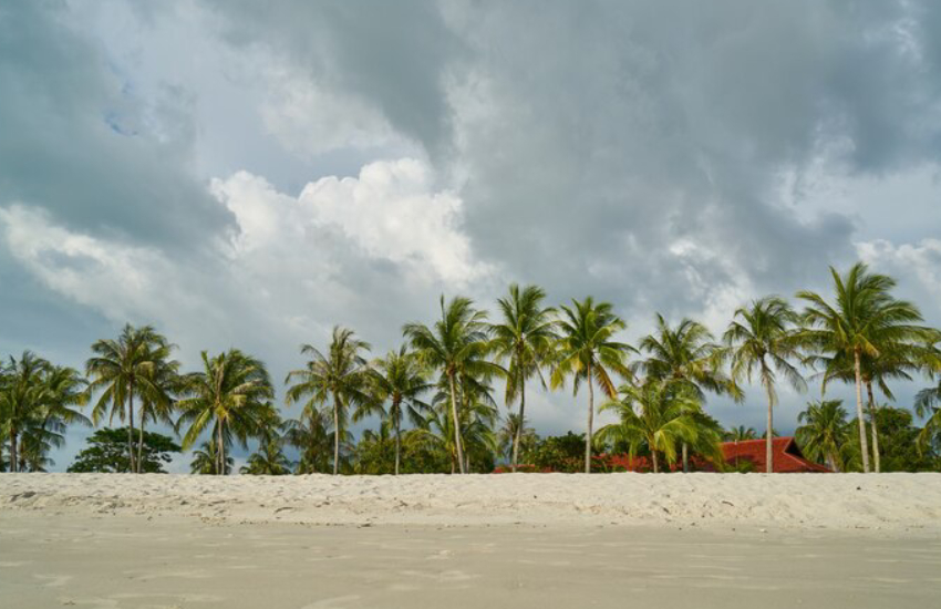 Beach islands