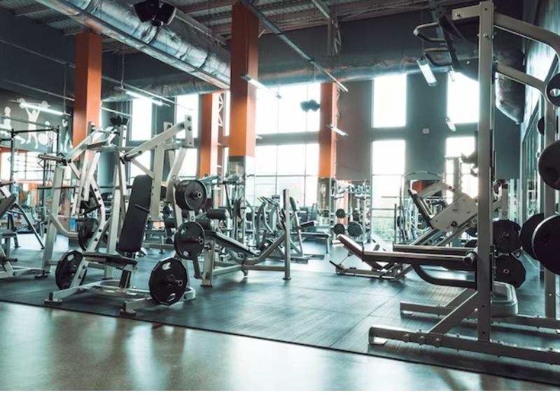 gym equipment wholesalers