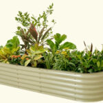 Create Your Dream Garden With A Raised Bed: Buyer Guide