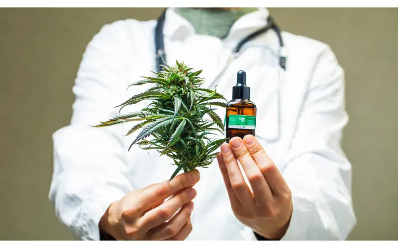 buy pure cbd oil